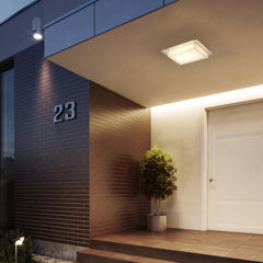 Brushed Stainless Steel