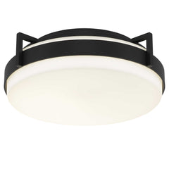 Ted 15" Flush Mount
