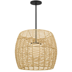 Aruba 24" Pendant