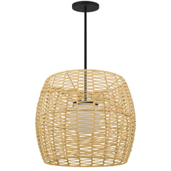 Aruba 24" Pendant