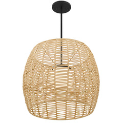 Aruba 24" Pendant