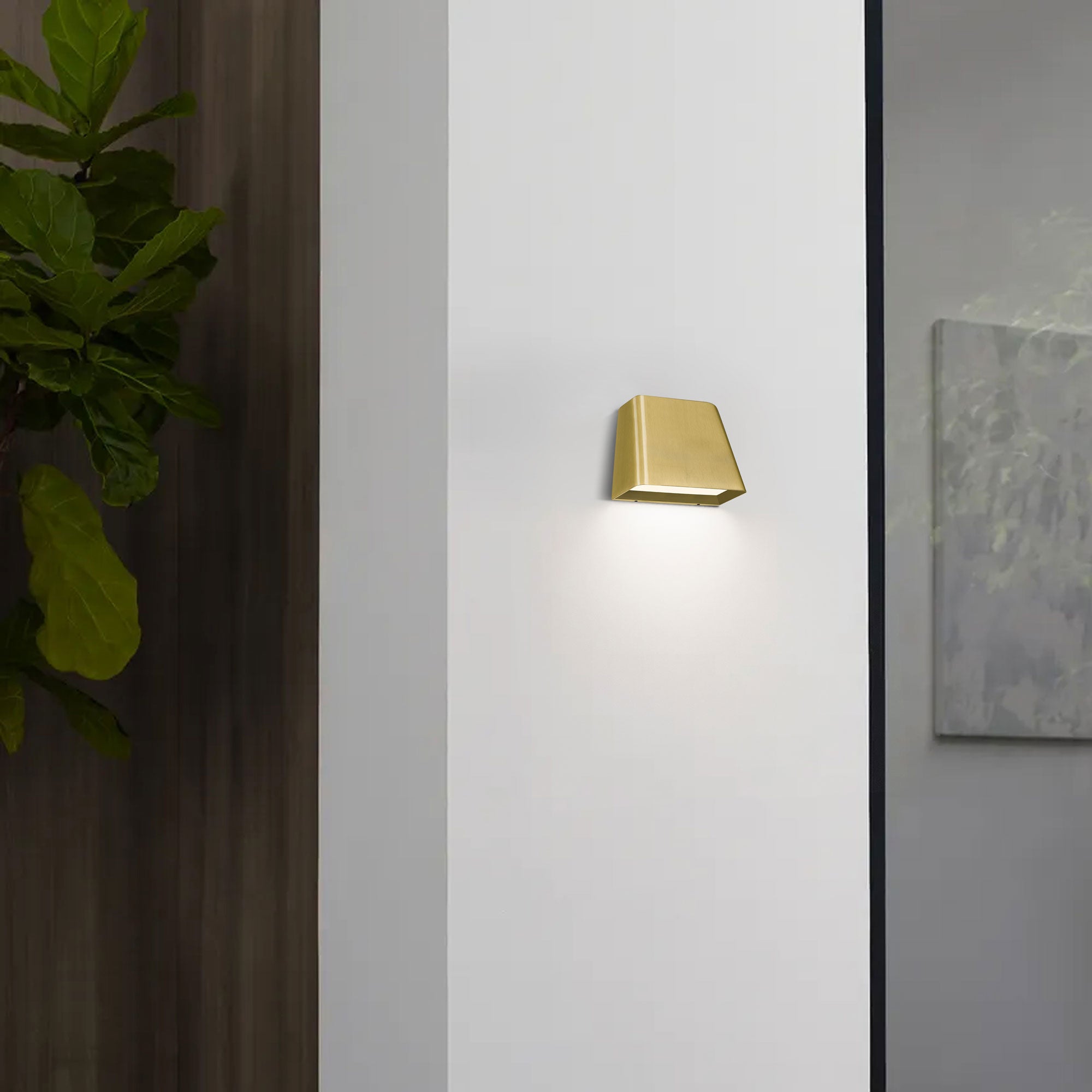 Brushed Brass