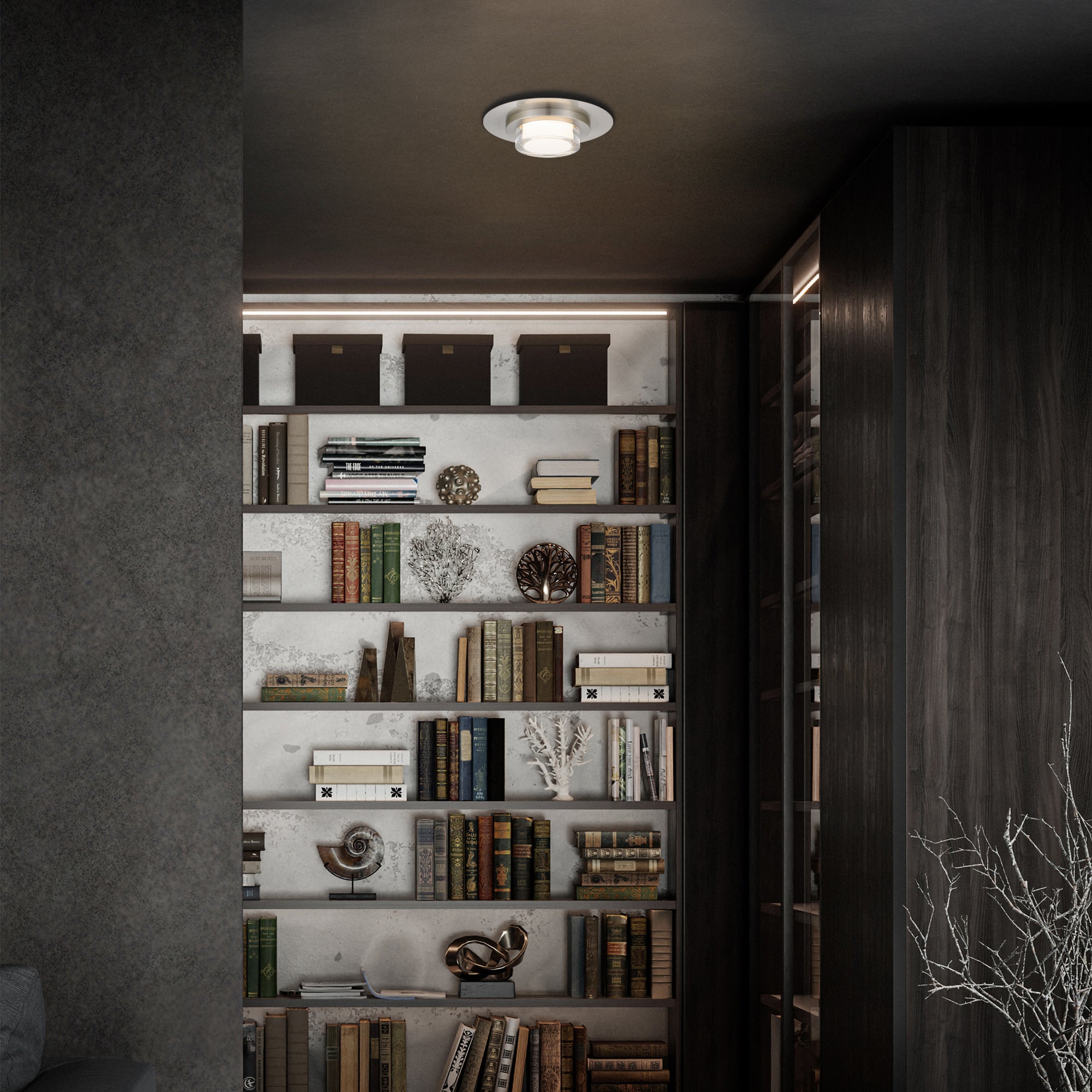 Brushed Stainless Steel