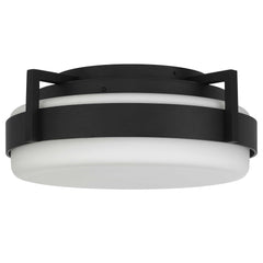 Ted 12" Flush Mount