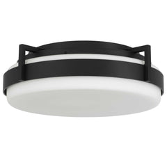 Ted 15" Flush Mount