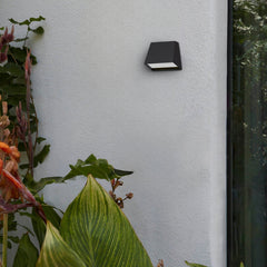 Fillet Outdoor Wall Sconce