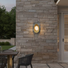Organic 13-1/2" Wall Sconce